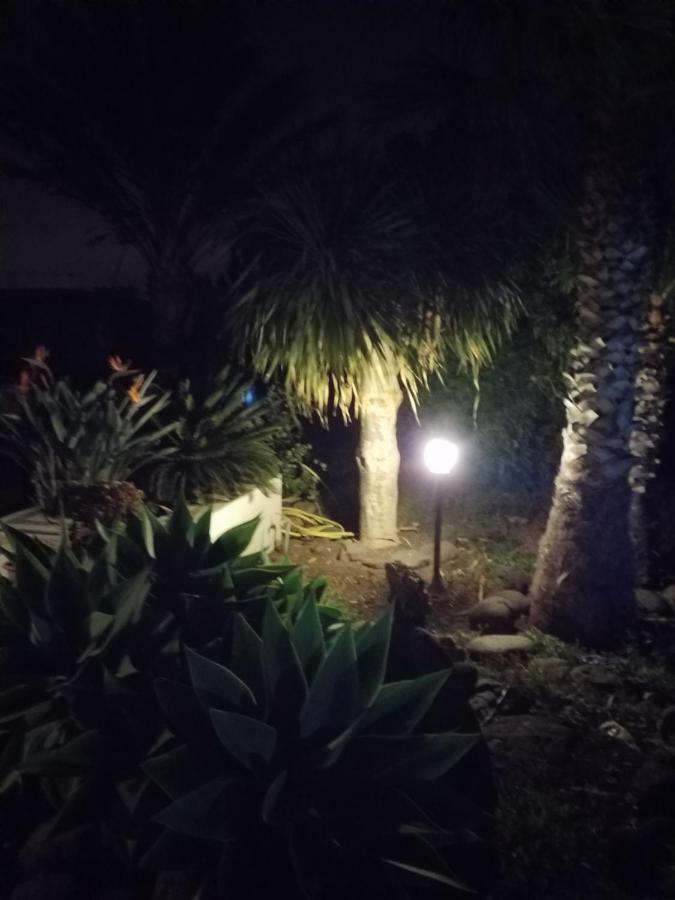 Palmeras Ingenio Bagian luar foto