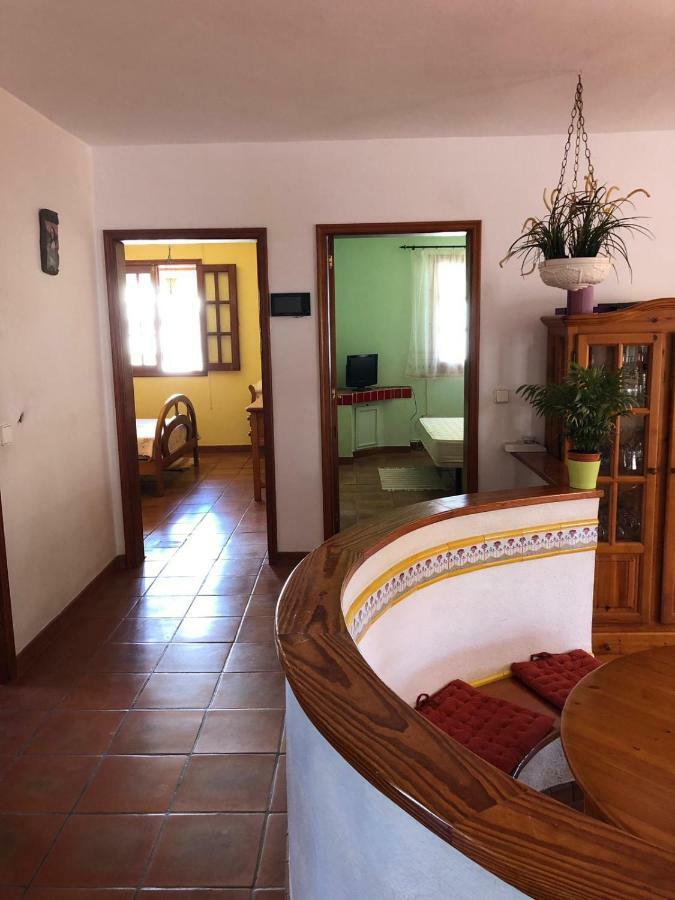 Palmeras Ingenio Bagian luar foto