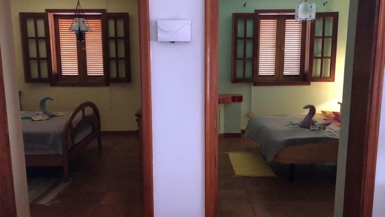 Palmeras Ingenio Bagian luar foto